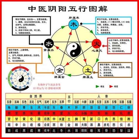 中醫五行對應人體五官|史上最全中醫五行系統對照表（值得收藏）